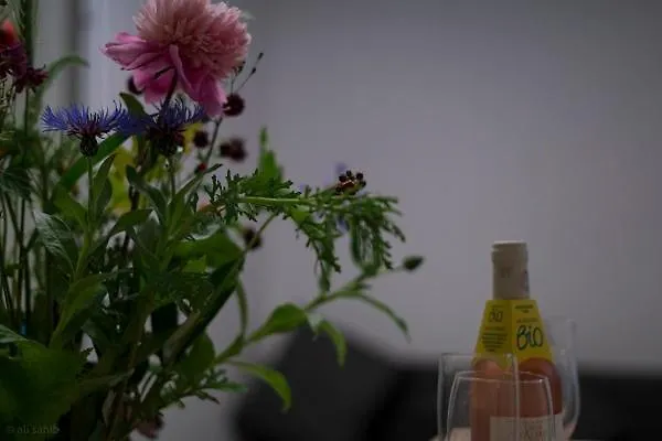 Superb City Apartement/studio